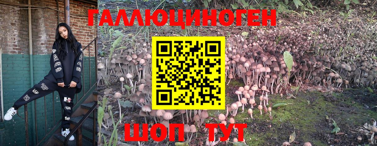Галлюциногенные грибы Cubensis  Вход с VPN  Кириши 